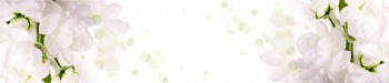 Кухонный фартук КМ 87 Вино Орхидея Цветы в Подгорном - podgornyj.mebel54.com | фото